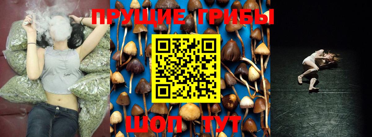Галлюциногенные грибы Psilocybine cubensis  Вход с VPN  Дубна 