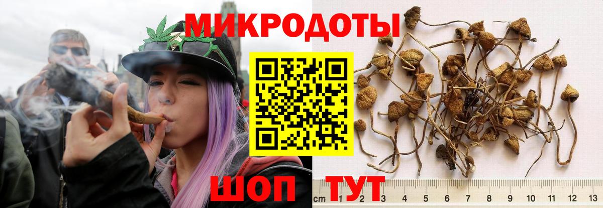 Галлюциногенные грибы мицелий Дубна